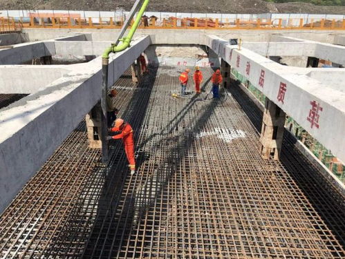 好消息一個接一個,和每個普陀人有關